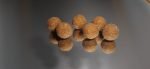 Q-Baits Gammarus bojli