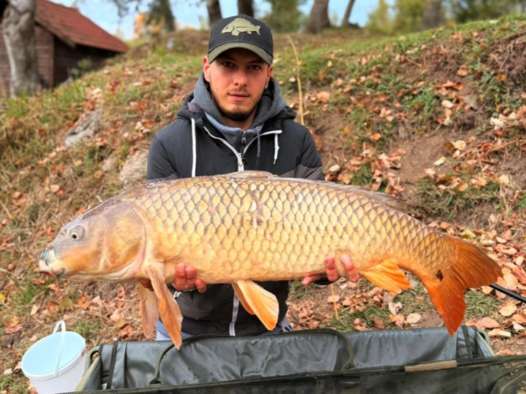 Nebehaj Gábor Q-Baits teszthorgász